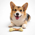 Beef-Flavored Chew Bone for Dogs