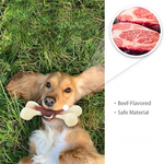 Beef-Flavored Chew Bone for Dogs