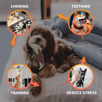 Beef-Flavored Chew Bone for Dogs