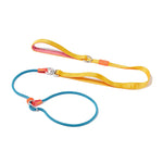 Slip Lead Training Dog Leash