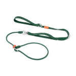 Slip Lead Training Dog Leash