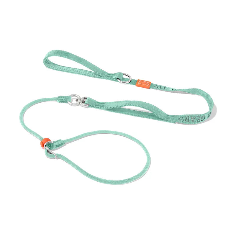 Slip Lead Training Dog Leash