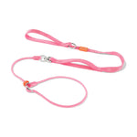 Slip Lead Training Dog Leash