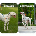 Slip Lead Training Dog Leash