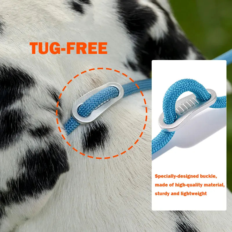 Slip Lead Training Dog Leash