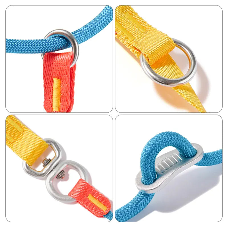 Slip Lead Training Dog Leash