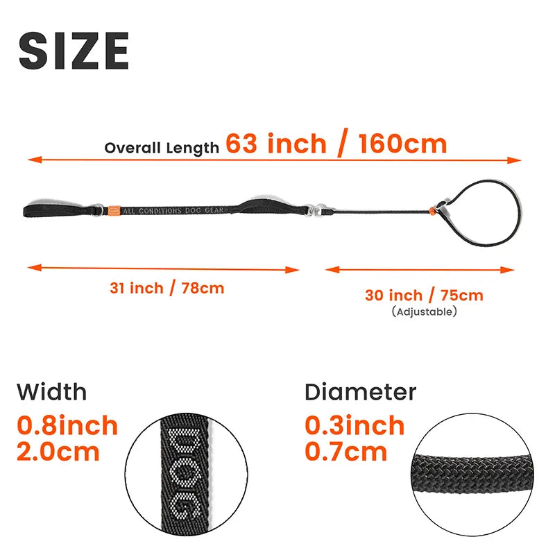 Slip Lead Training Dog Leash