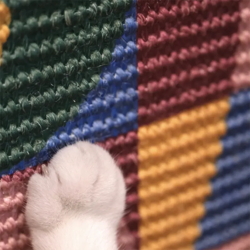 Meow Bauhaus Artistic Cat Scratcher