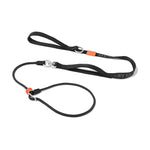 Slip Lead Training Dog Leash