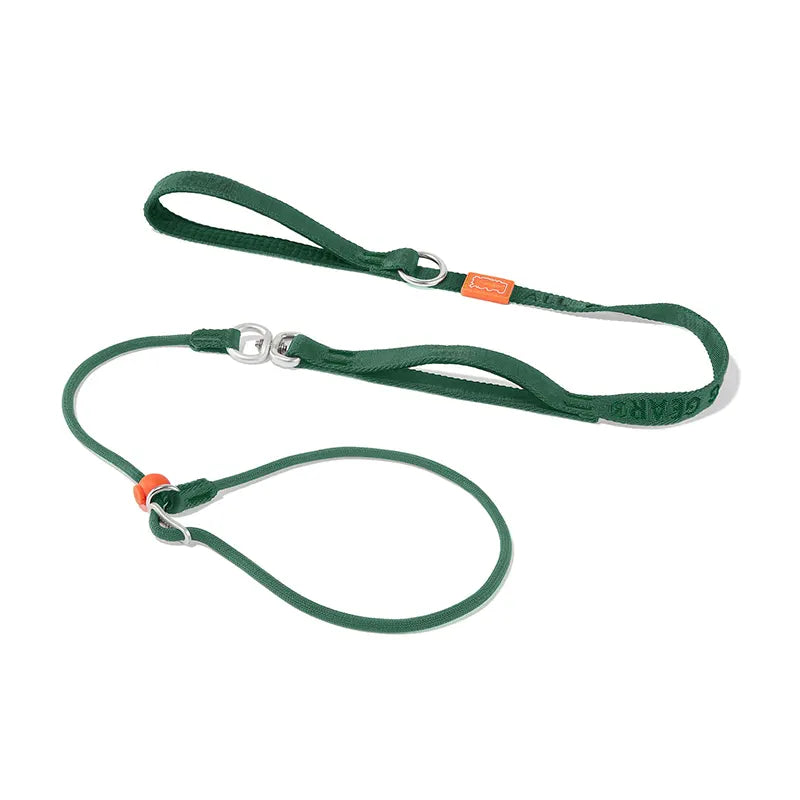 Slip Lead Training Dog Leash