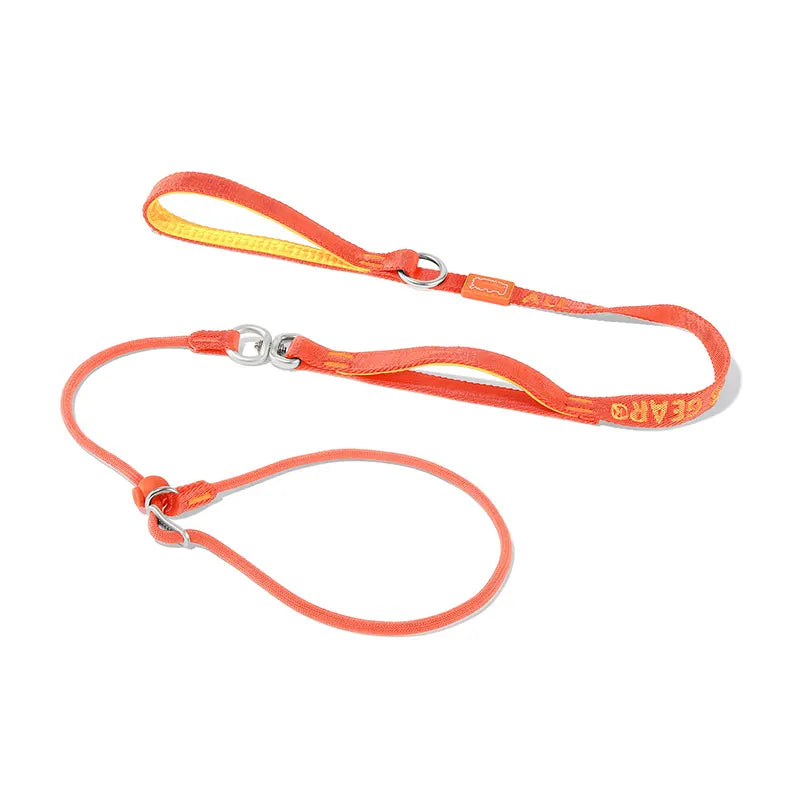 Slip Lead Training Dog Leash