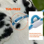 Slip Lead Training Dog Leash