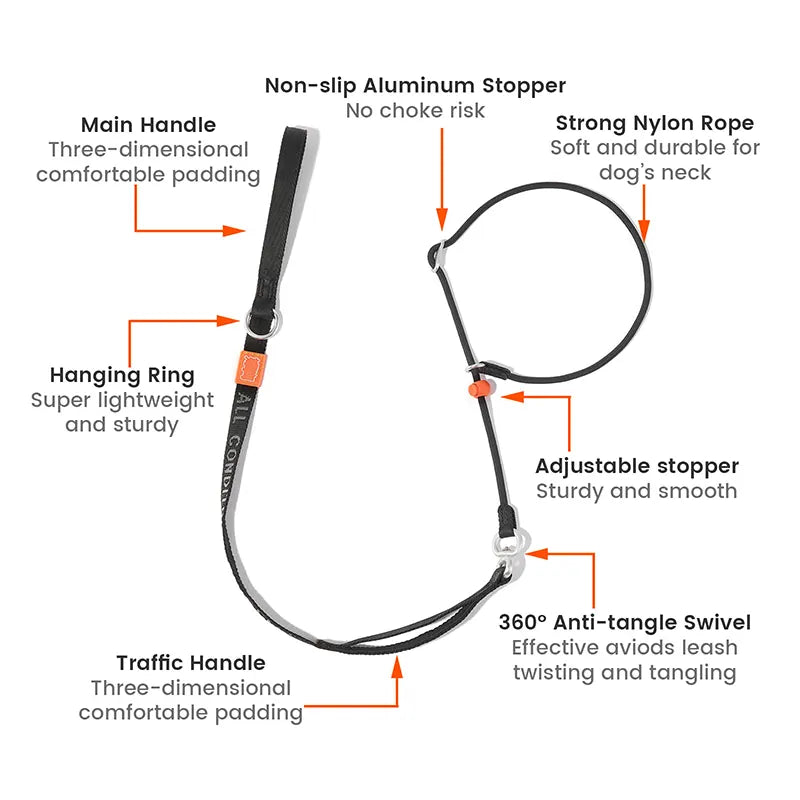 Slip Lead Training Dog Leash