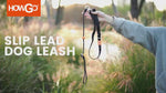 Slip Lead Training Dog Leash